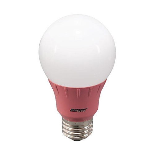 A19 LED Bulb 3 Watt (40W Equiv) by Energetic Lighting